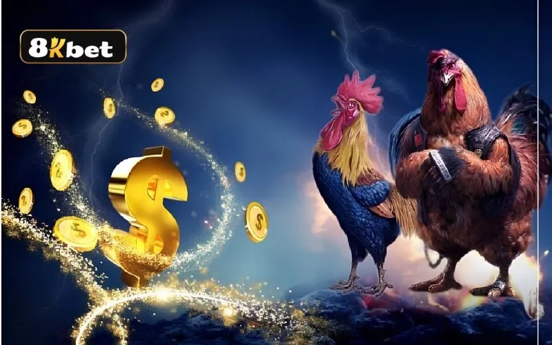 Bí kíp đá gà 8kbet thắng lớn từ cao thủ Bí kíp đá gà 8kbet thắng lớn từ cao thủ