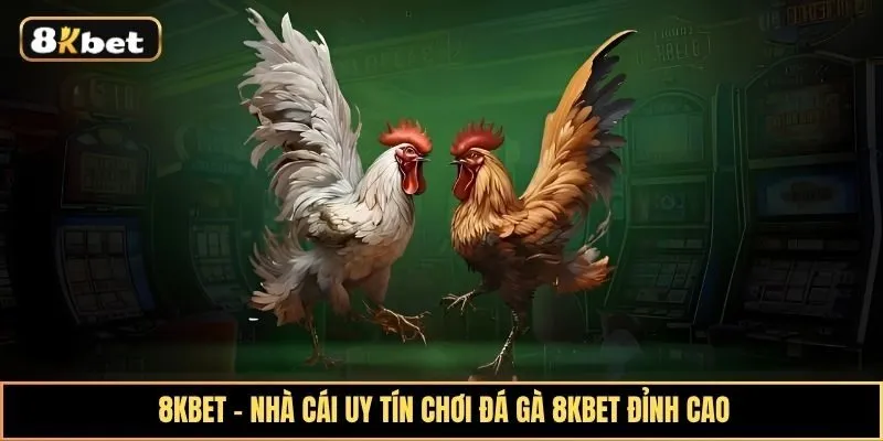 Khám phá sảnh cược đá gà 8kbet hấp dẫn với tỷ lệ đổi thưởng cực lớn cao Khám phá sảnh cược đá gà 8kbet hấp dẫn với tỷ lệ đổi thưởng cực lớn cao