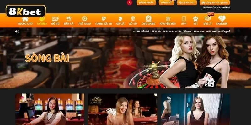 Live Casino Live Casino