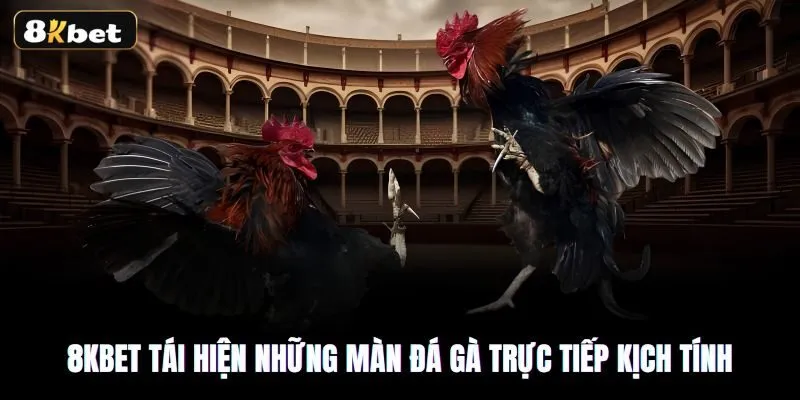 Sảnh đá gà 8kbet sở hữu nhiều ưu điểm nổi bật Sảnh đá gà 8kbet sở hữu nhiều ưu điểm nổi bật
